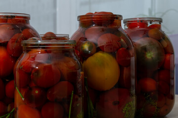 Tomatoes selected for canning, in jars of different sizes on the kitchen table.