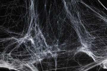Halloween decoration concept. Artificial spider web decoration with spiders on black background