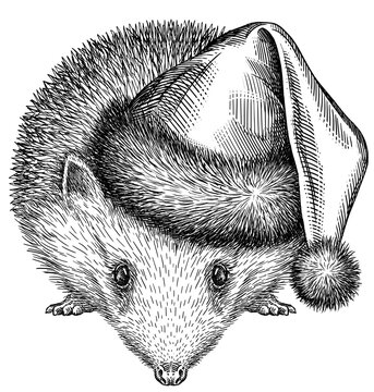 recommend clip art: Vintage engrave isolated christmas hedgehog set illustration santa costume cut ink sketch. Wild pet background line new year hat hedge art