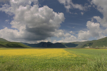colors in Castelluccio di Norcia