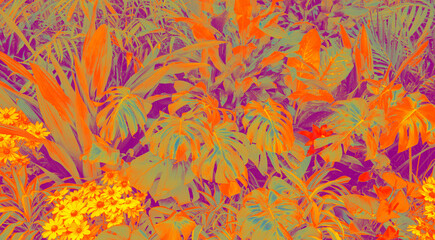 abstract group tropical leaves background ( monstera, coconut leaf, fern, palm leaf).