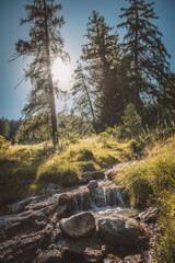 Landschaft / Natur