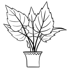 Alocasia begonia in a pot in black line outline cartoon style. Coloring book houseplants flowers plant for interrior design in simple minimalist design, plant lady gift.