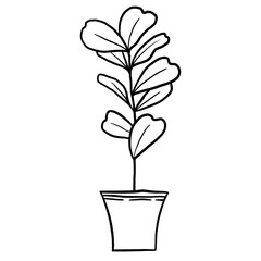 Fiddle leaf ficus in a pot in black line outline cartoon style. Coloring book houseplants flowers plant for interrior design in simple minimalist design, plant lady gift.