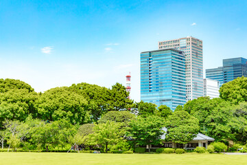 Obraz premium Metropolitan area, Nature, Meadow