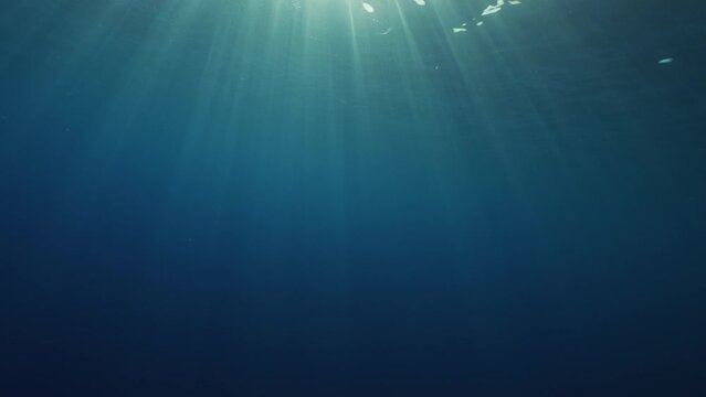 sunrays underwater breaking trough the surface and penetrating the clear  tropical water with their light beams