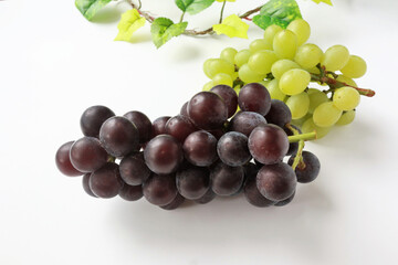 ぶどう　巨峰
