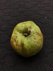 guavas or Jambu Klutuk on a dark background