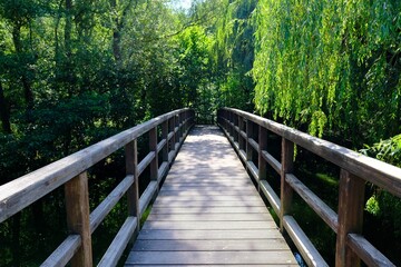 Ein langer Weg zum Ziel über eine Holzbrücke