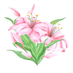 Handdrawn Watercolor pink lily flower bouquet with green leaves on the white background. Scrapbook design, typography poster, label, banner, post card.