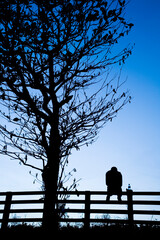Silhouette of a man sitting alone at the fence near the withered tree with a dark blue sky...