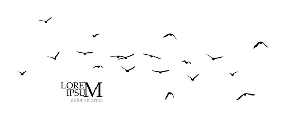 A flock of flying birds. Free birds. Vector illustration