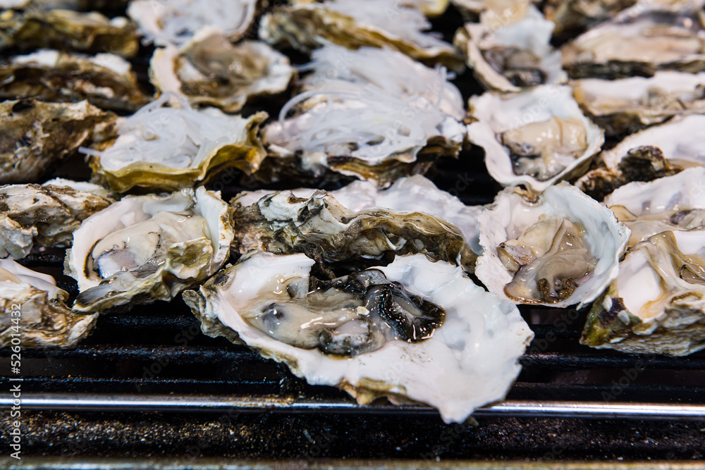 Wall mural close-up of fresh raw oysters background