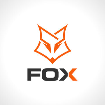 Vector of a fox logo design template