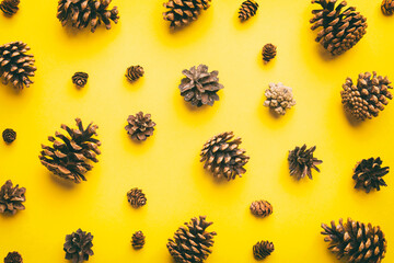 pine cones on colored table. natural holiday background with pinecones grouped together. Flat lay. Winter concept