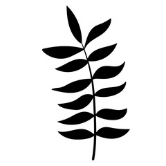 botanical line art floral leaves, plants. Hand drawn sketch branches isolated