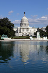 Fototapeta premium United States Capitol, Washington D.C., USA