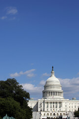 Naklejka premium The dome of the United States Capitol, Washington D.C., USA