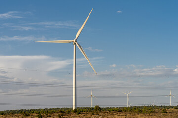 renewable energy