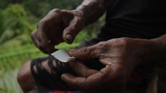 Close up of hands of old Balinese man rolling a tobacco cigarette. Illegal smoking of marijuana