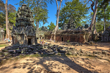 Ta Prohm temple, Angkor, Siem Reap, Cambodia