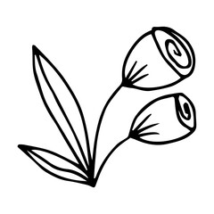 hand drawn doodle botanical floral element for floral design concept