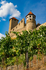 Most beautiful vineyards in Germany.
