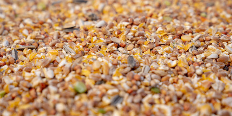 Food birds seeds close-up