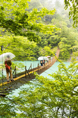 寸又峡の夢の吊り橋
