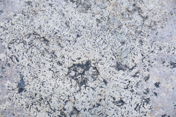 concrete rock texture background