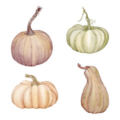 A set of pumpkins of different shapes and colors
