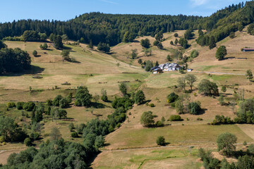 Fototapeta premium Foresta Nera, Germania