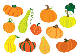 Pumpkins. Vector illustration. Eleven colorful pumpkins of different shapes. For Halloween design and decor, etc.