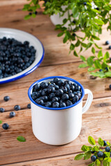 Fototapeta na wymiar Blueberry in white cup on wooden table. Vitamins. Healthy food. Juicy berry.