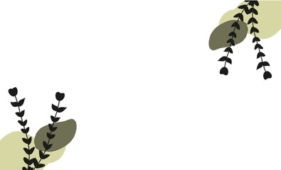 butterfly on a white background