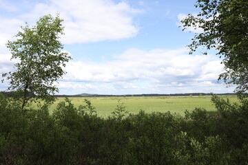 Obraz premium beautiful landscape in Store mosse national Park, Sweden, Europe