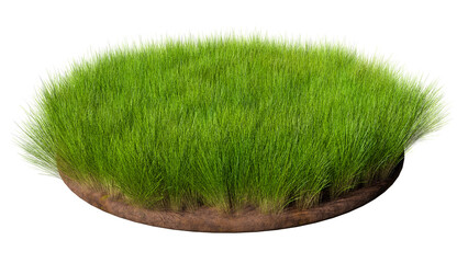 Round surface covered with green grass isolated on transparent background. 3D rendering illustration
