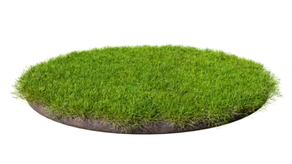 Foto op Canvas Round surface covered with green grass isolated on transparent background. 3D rendering illustration © valentyn640