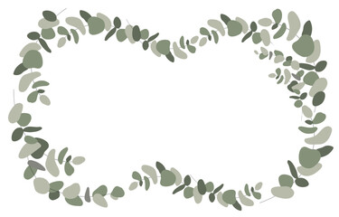 Eucalyptus frame leaves on white. Green Eucalyptus border