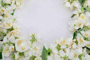 Fototapeta na wymiar Floral background on white. Jasmine flowers are laid out in a circle for decoration, inscriptions, copyspace