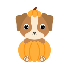 Cute little dog sitting in a pumpkin. Cartoon animal character for kids t-shirts, nursery decoration, baby shower, greeting card, invitation. Vector stock illustration