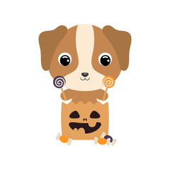 Cute Halloween dog sitting in a trick or treat bag with candies. Cartoon animal character for kids t-shirts, nursery decoration, baby shower, greeting card, invitation. Vector stock illustration