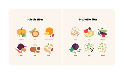 Food guide for healthy eating concept. Vector flat design various soluble and insoluble colorful fiber sources products symbol in frame with labeled text isolated on white background. - obrazy, fototapety, plakaty