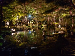 ライトアップされた公園の池