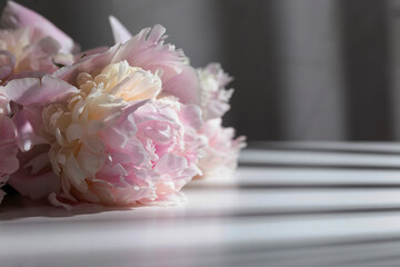 Fresh pink peonies on a white table