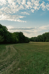 field and blue sky with a rode in Slovakia