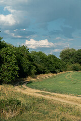 Fototapeta na wymiar green field and blue sky at Chľaba, Slovakia