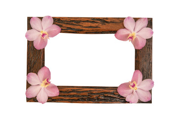 Orchids placed on an old wooden frame isolated on white background.top view.