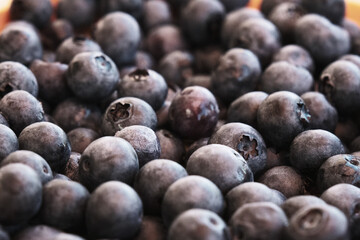 Fresh blue berries texture and pattern, ripe purple blueberry on the eco market stall, natural food, diet health nutrition, background.