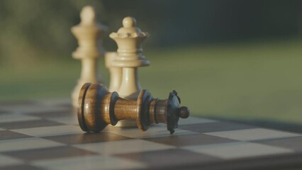 Black queen falls captured by whites, chess game
